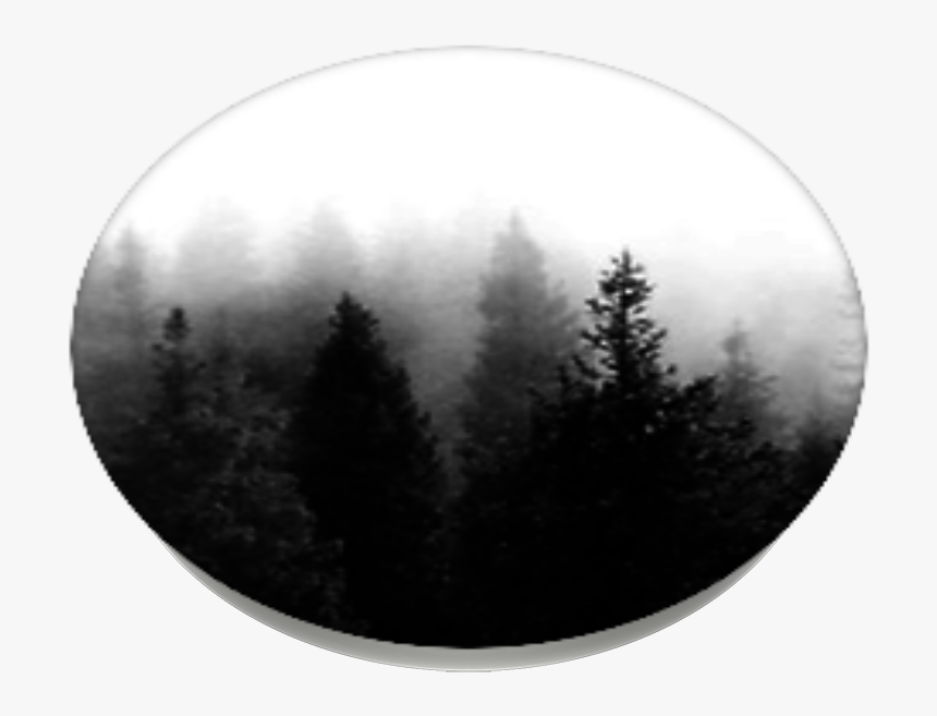 Dark Forest, Popsockets - Tree In The Forest Png Dark, Transparent Png, Free Download
