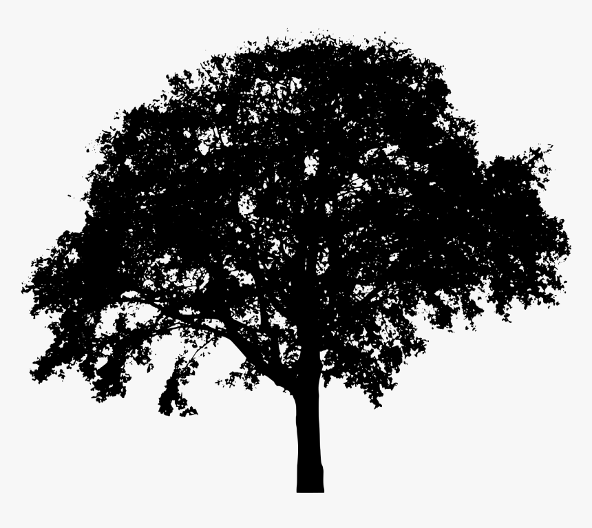 Clip Art Dark Forest Clipart - Transparent Background Tree Silhouette, HD Png Download, Free Download