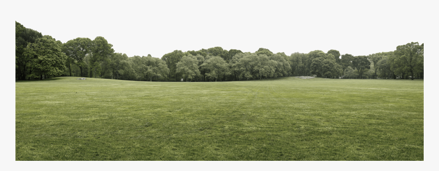 Header Tree Layer - Grass, HD Png Download, Free Download