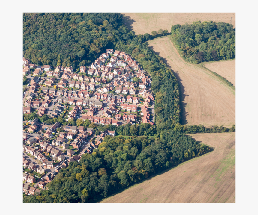 Tree Aerial View Png, Transparent Png, Free Download