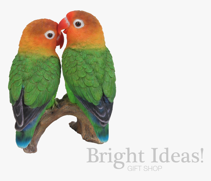 Love Birds Exotic True Life Vivid Arts Lovebirds - Logo Love Bird Hd, HD Png Download, Free Download