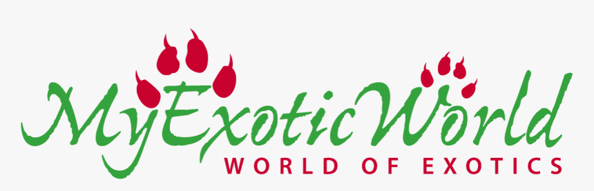 My Exotic World - Graphic Design, HD Png Download, Free Download