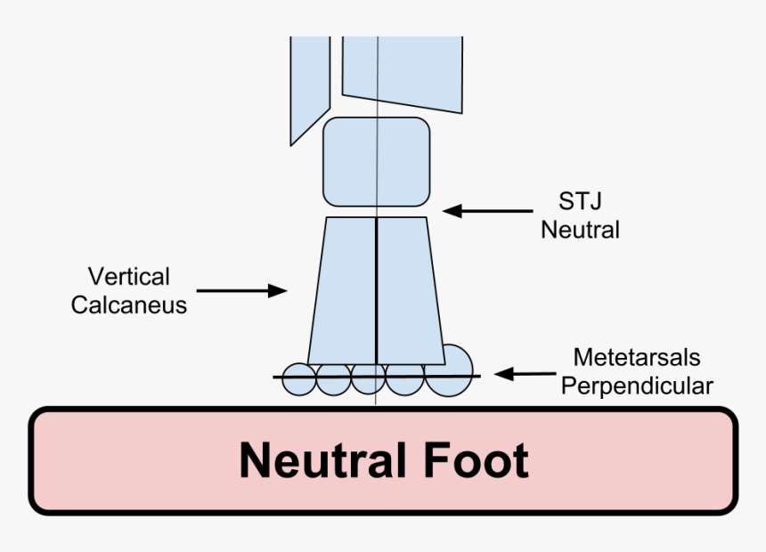 Neutral Foot Alignment - Forefoot To Rearfoot Alignment, HD Png Download, Free Download