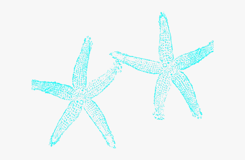 Starfish Clipart Aqua Fish Clip Art Hd X Transparent - Starfish, HD Png Download, Free Download