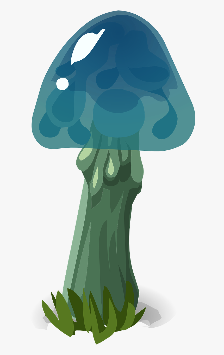 Mushroom Blue Hat Nature Outdoor Png Image - Blue Mushroom Png, Transparent Png, Free Download