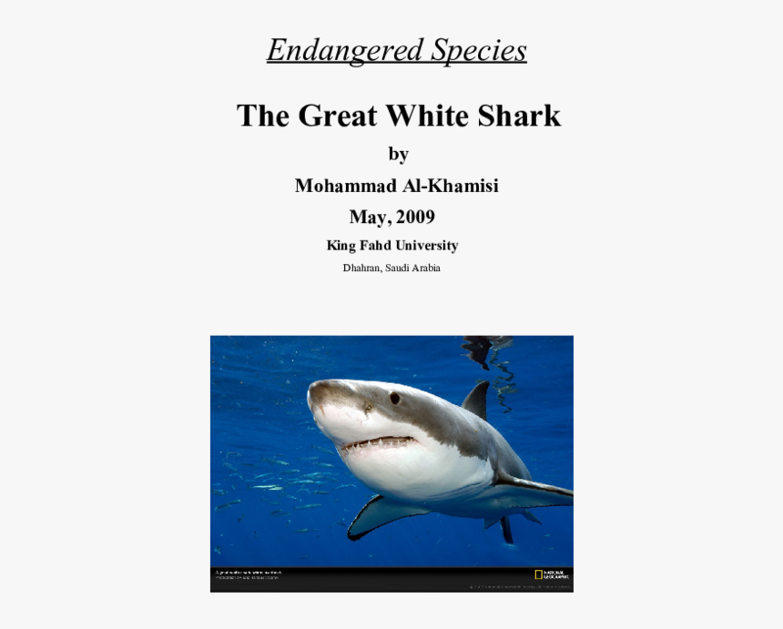 Great White High Resolution, HD Png Download, Free Download