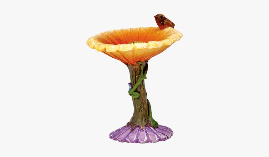 Bird Bath Png, Transparent Png, Free Download