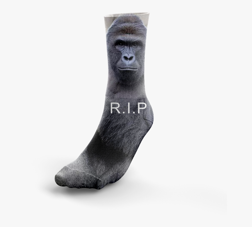 Image Of Rip - Sock, HD Png Download, Free Download