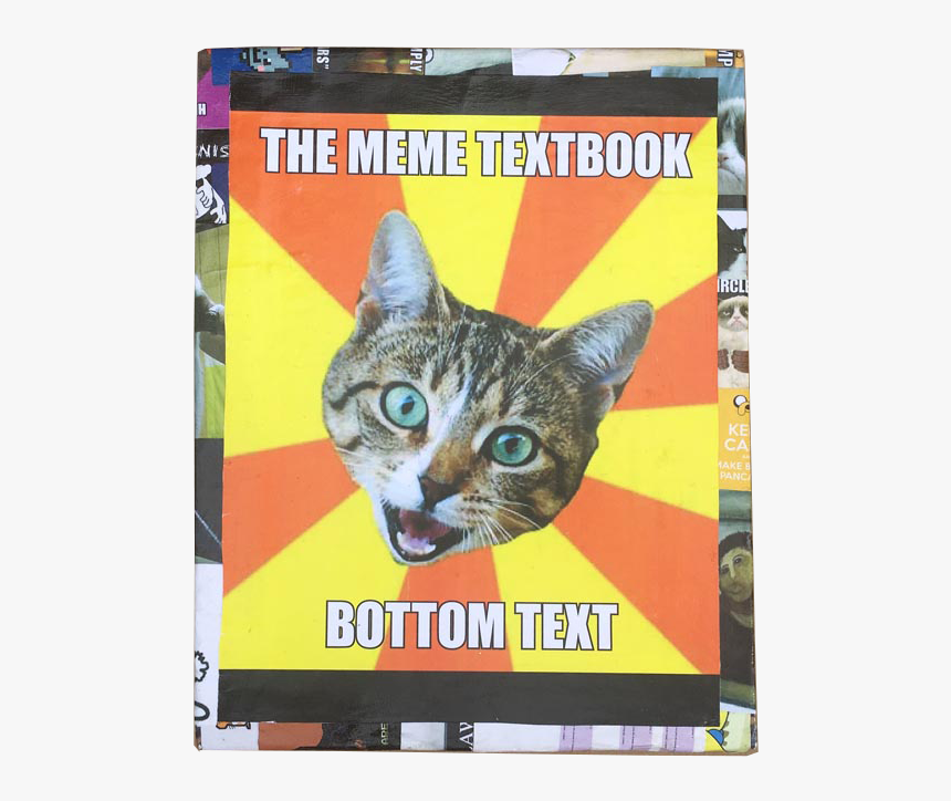 Funny School Cat Memes, HD Png Download, Free Download