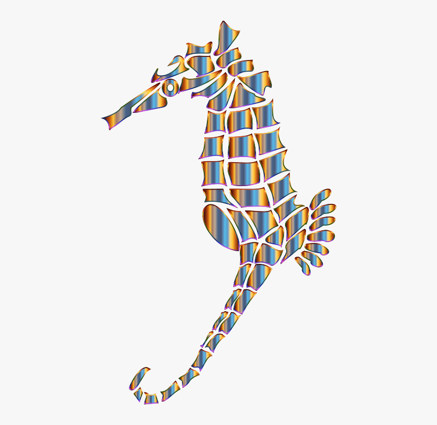 Chromatic Stylized Seahorse Silhouette No Background Seahorse