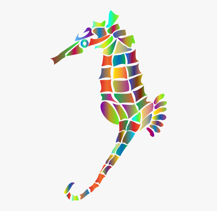 Seahorse, HD Png Download, Free Download