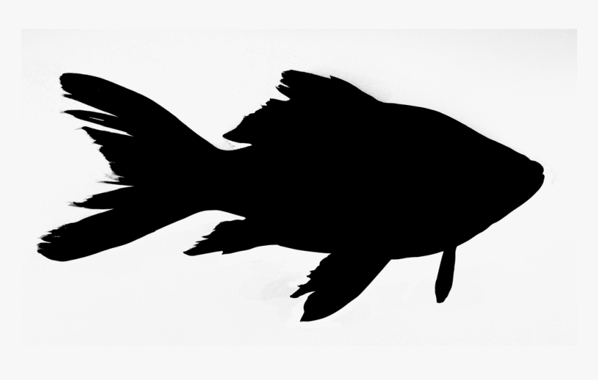 Friday Night Fish Fry - Fish Silhouette Png, Transparent Png, Free Download