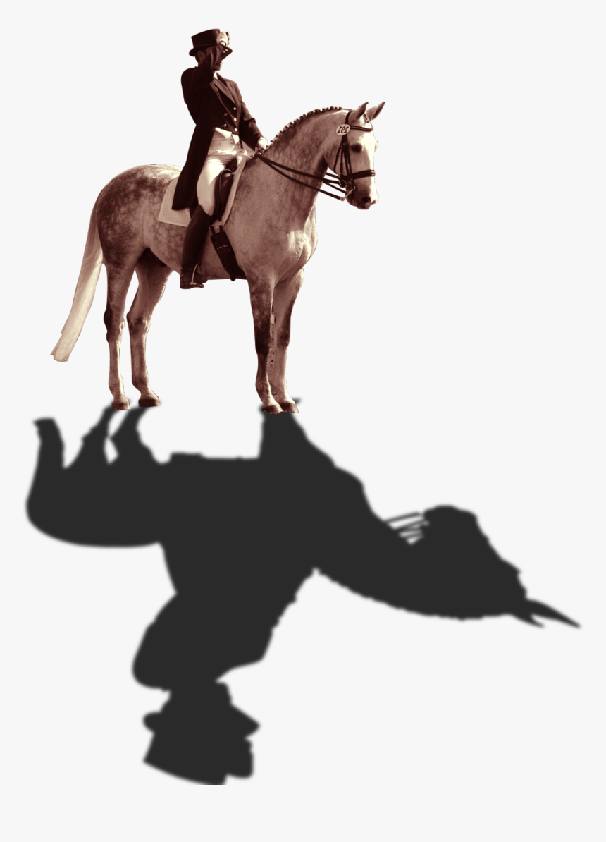 Knight Riding A Horse - Knight Horse Png, Transparent Png, Free Download