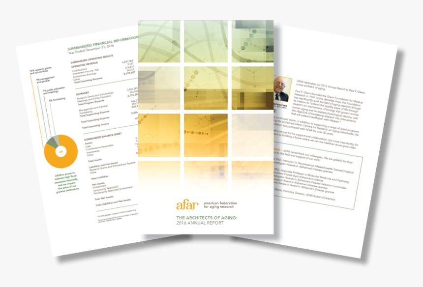 Brochure, HD Png Download, Free Download