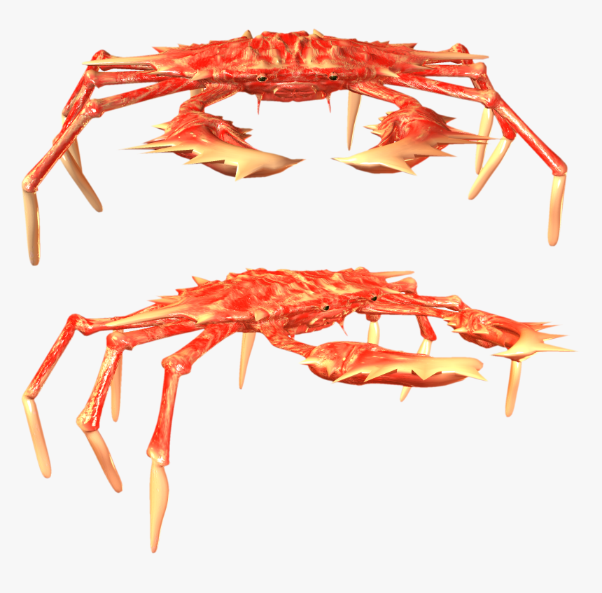 Crab Png - Freshwater Crab, Transparent Png, Free Download