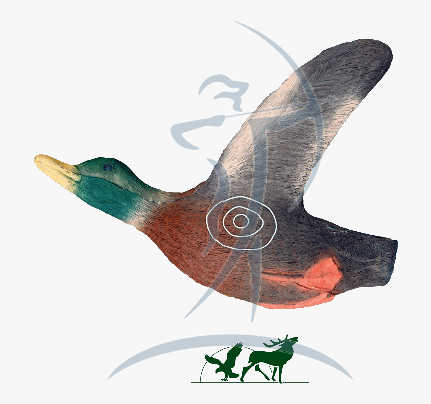 Leitold 3d-target Flying Duck - Vaux S Swift, HD Png Download, Free Download