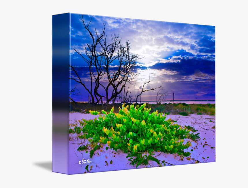 Clip Art Green Landscape Grape Cloud - Wildflower, HD Png Download, Free Download