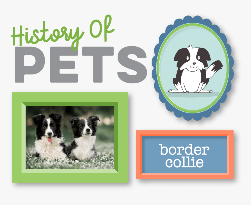 History Of Pets, HD Png Download, Free Download