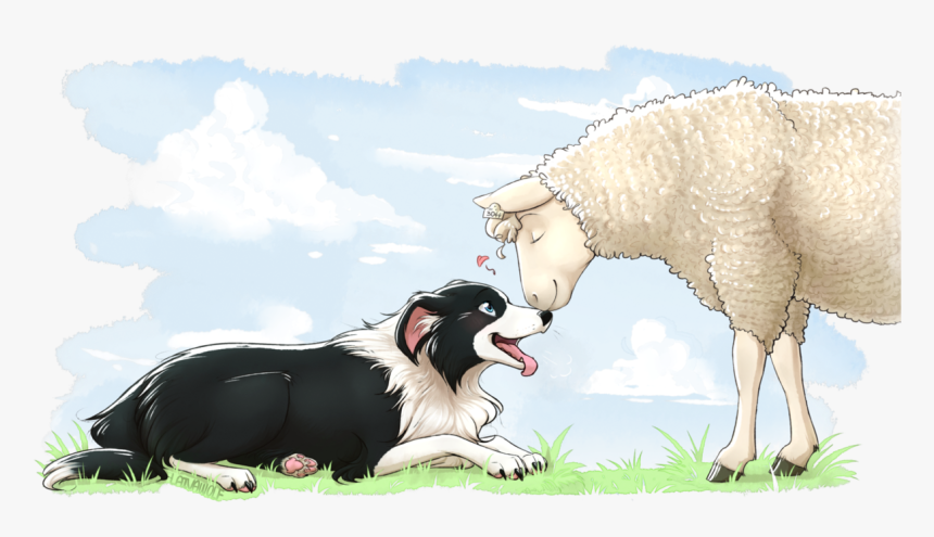 Border Collie Png, Transparent Png, Free Download