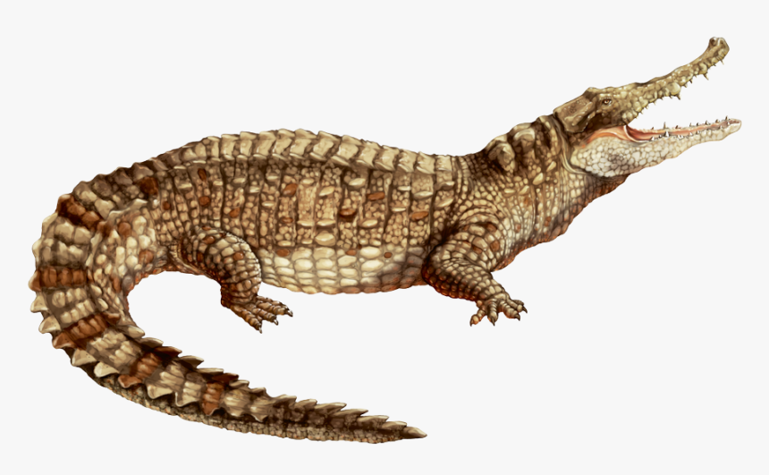 Black Caiman Png - Caiman Png, Transparent Png, Free Download