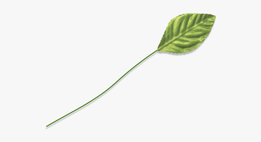 Ma3840gr Leaves Green - Leaf, HD Png Download, Free Download