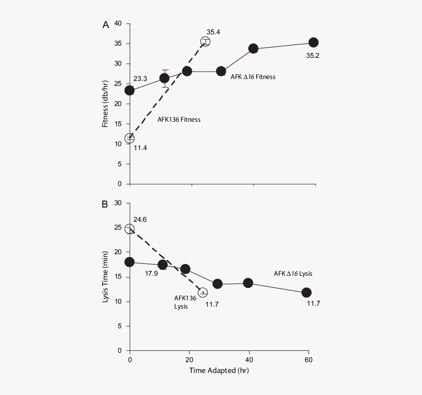 Plot, HD Png Download, Free Download