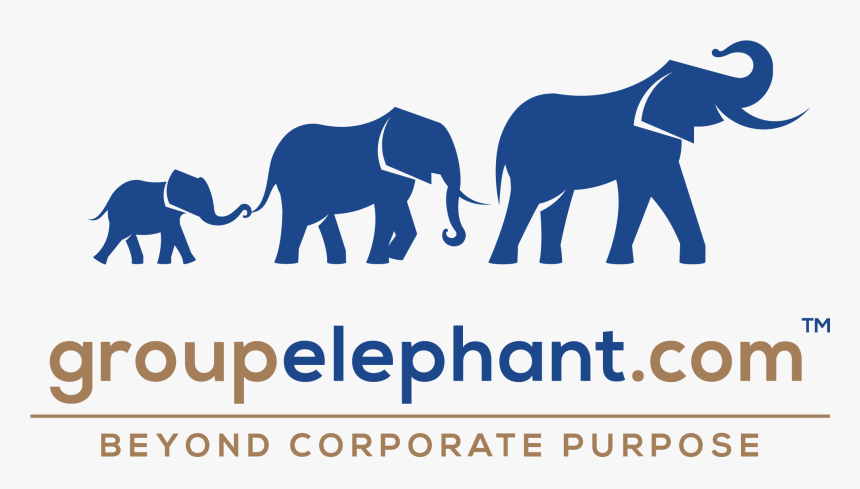 Part Of The Groupelephant - Group Elephant, HD Png Download, Free Download