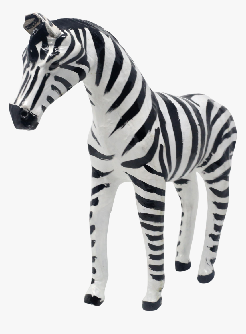 Zebra, HD Png Download, Free Download