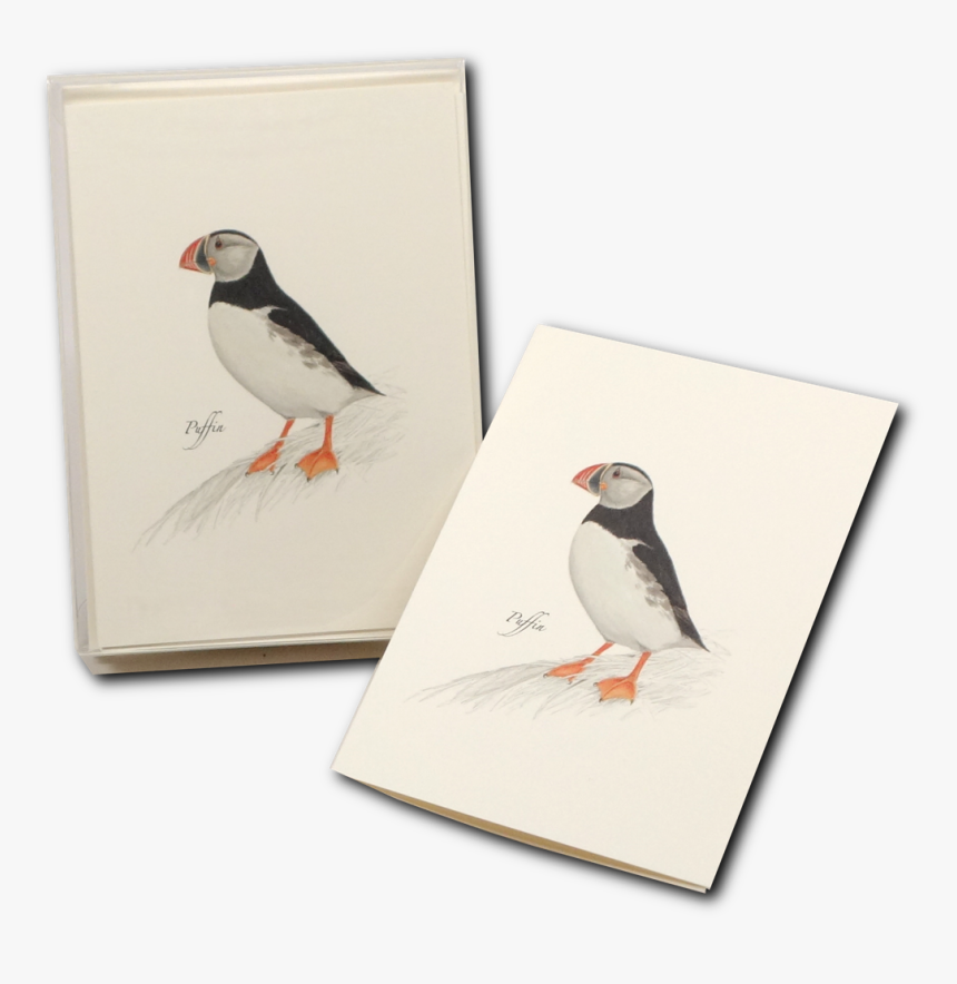 Puffin, HD Png Download, Free Download