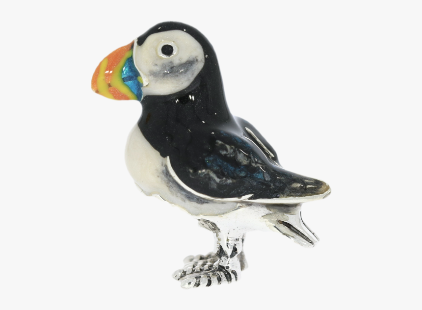 Atlantic Puffin, HD Png Download, Free Download