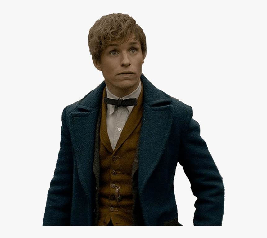 Newt-scamander - Newt Scamander Cinnamon Roll, HD Png Download, Free Download