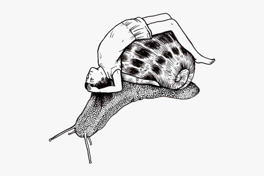 Sean Snail Png - Snail Girl Tattoo, Transparent Png, Free Download