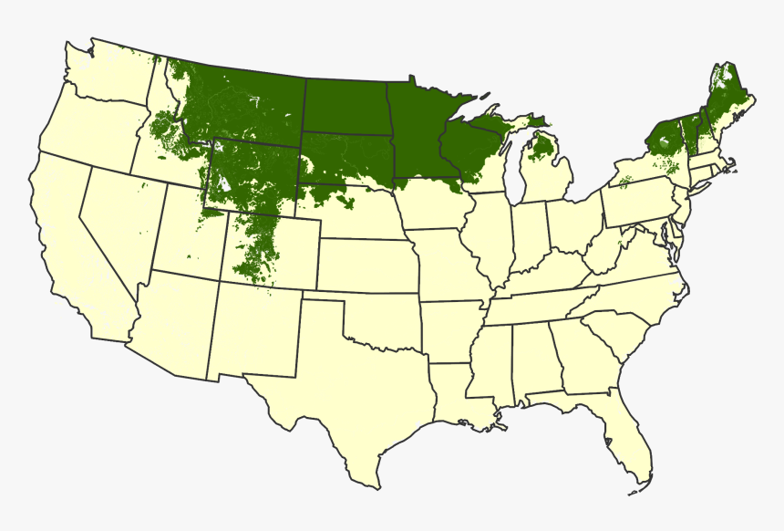 Blank United States Map, HD Png Download, Free Download