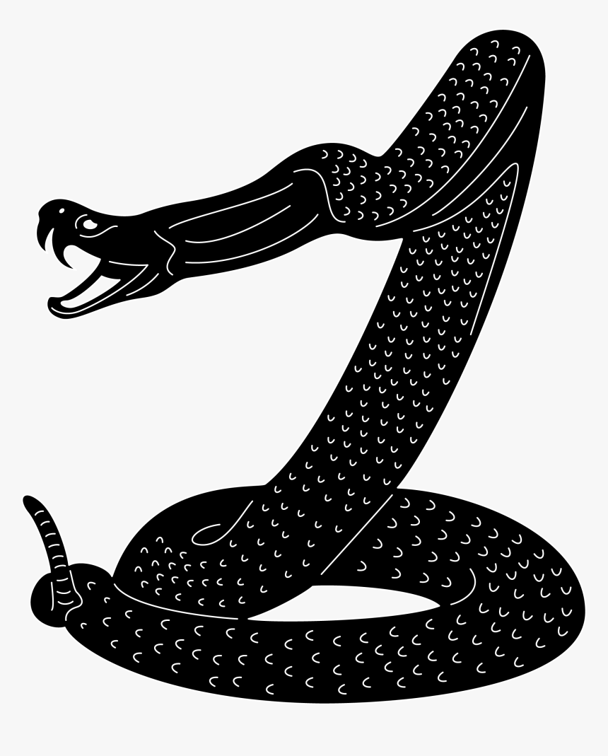 Transparent Rattlesnake Clipart Black And White - Snake Ready To Attack, HD Png Download, Free Download