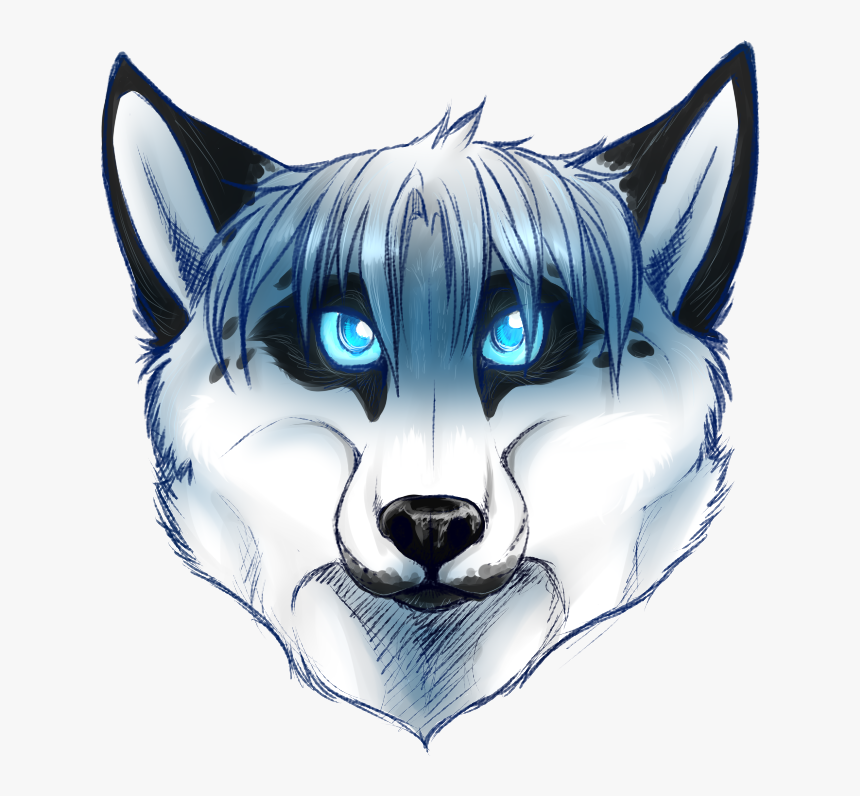 Blue Eyes Whitefox - Illustration, HD Png Download, Free Download