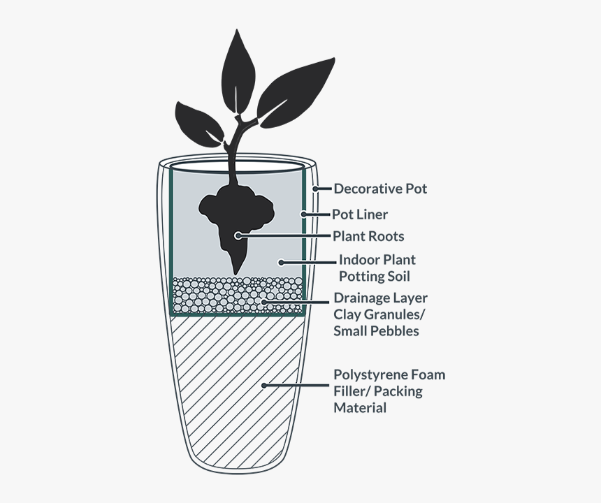 The Complete Guide To - Indoor Plant Drainage, HD Png Download, Free Download