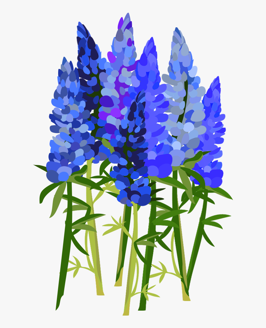 Bluebonnet , Png Download - Bluebonnet Transparent, Png Download, Free Download