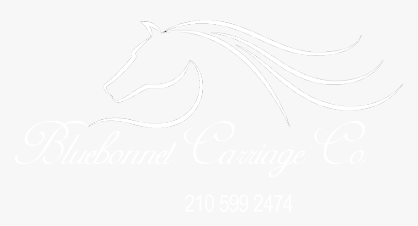 Bluebonnet Carriage Company Logo - Stallion, HD Png Download, Free Download