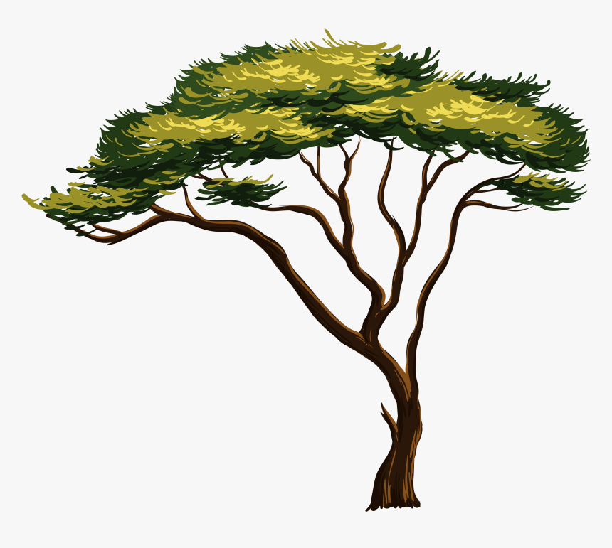 Transparent African Tree Clipart - Africa Easy Drawings Tree, HD Png Download, Free Download