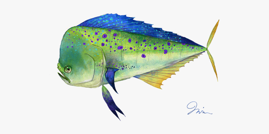 Mahi-mahi - Marine Mammal, HD Png Download, Free Download