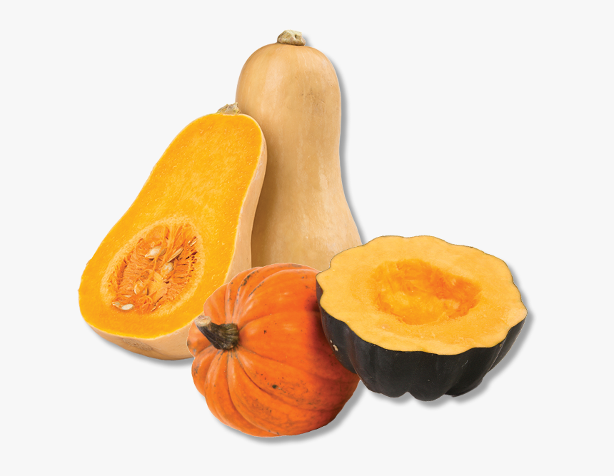 Mushrooms - Butternut Pumpkin, HD Png Download, Free Download