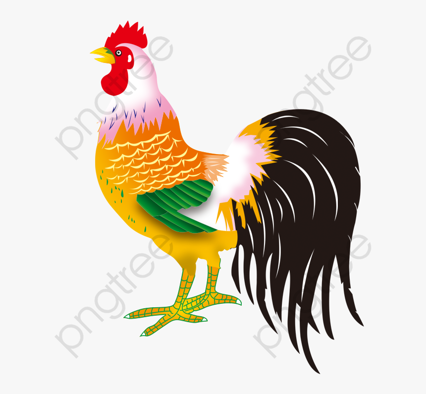 Cartoon Pattern Png Commercial - Rooster, Transparent Png, Free Download