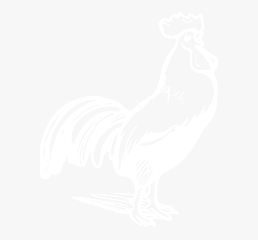 Rooster, HD Png Download, Free Download