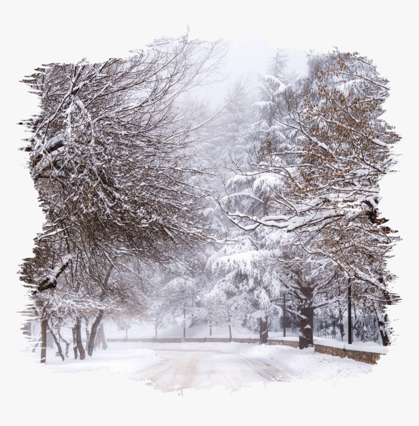 Transparent Snow - Snow, HD Png Download, Free Download