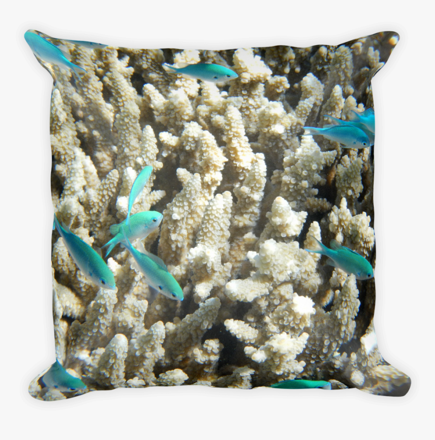 Pillow Mockup 20 Original - Great Barrier Reef, HD Png Download, Free Download