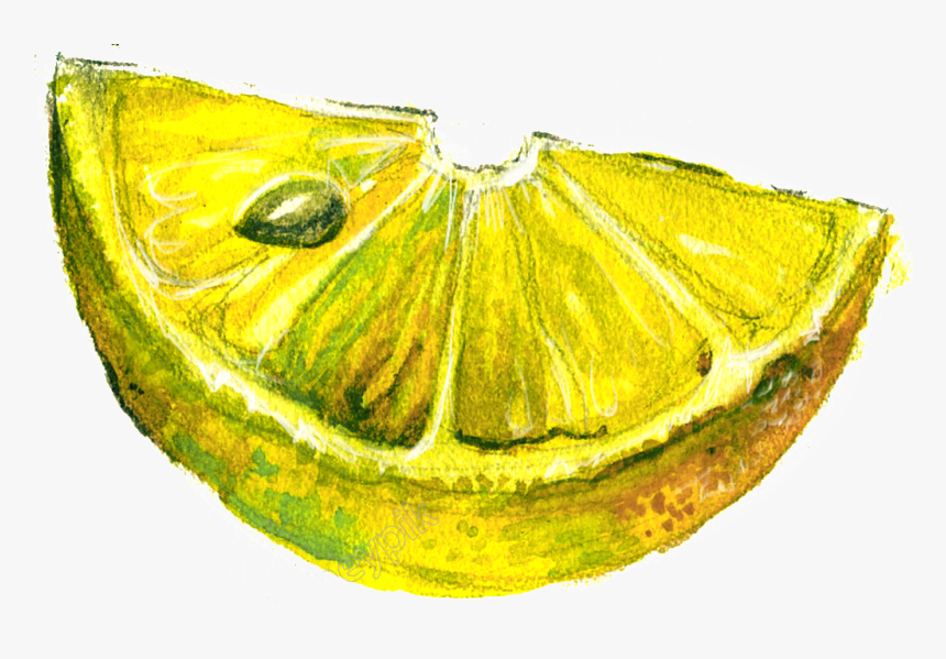 Water Yellow Lemon Cartoon Transparent - Moths And Butterflies, HD Png Download, Free Download