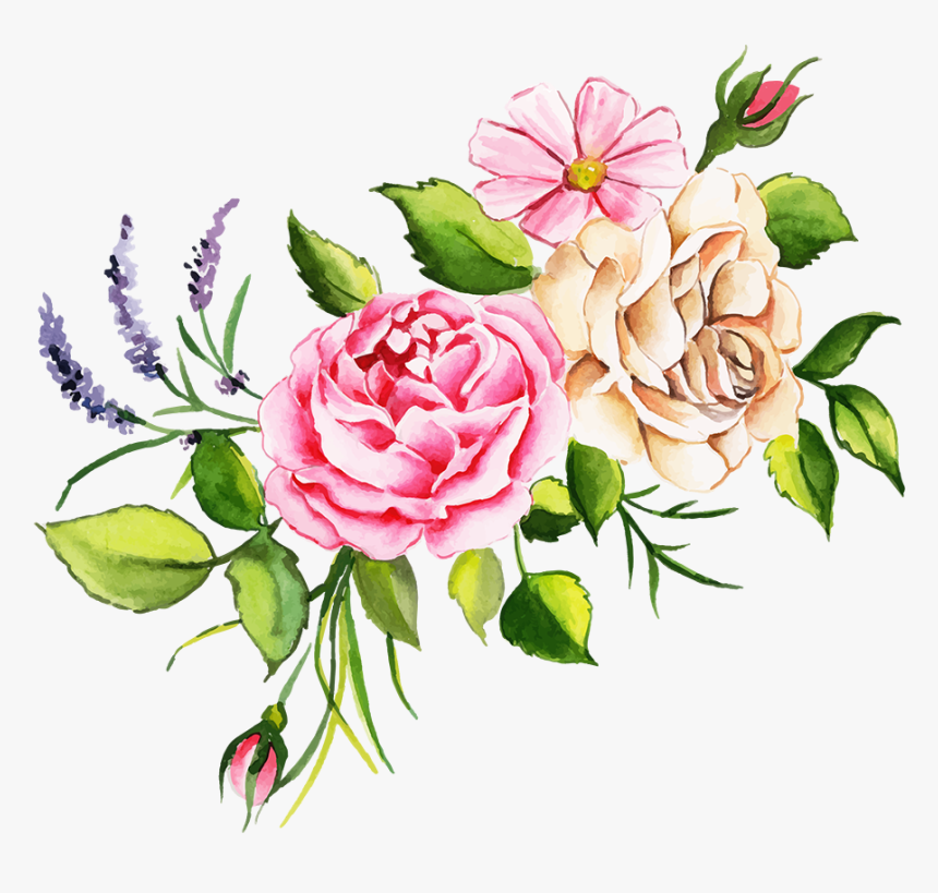 Garden Roses, HD Png Download - kindpng