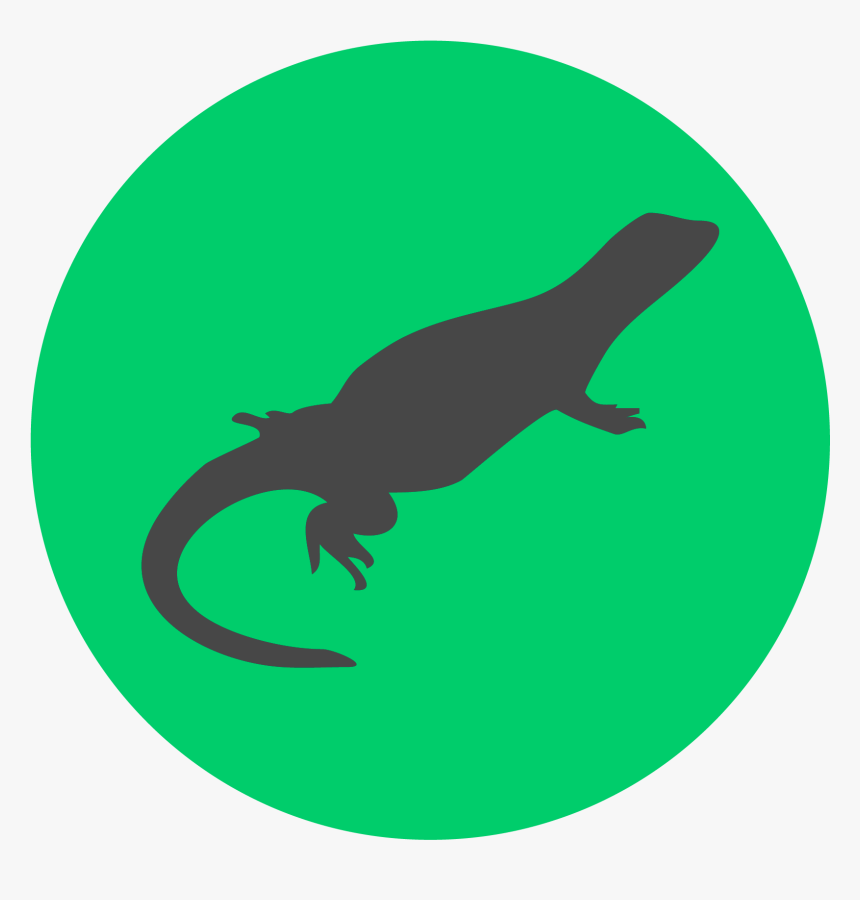 Crocodile, HD Png Download, Free Download