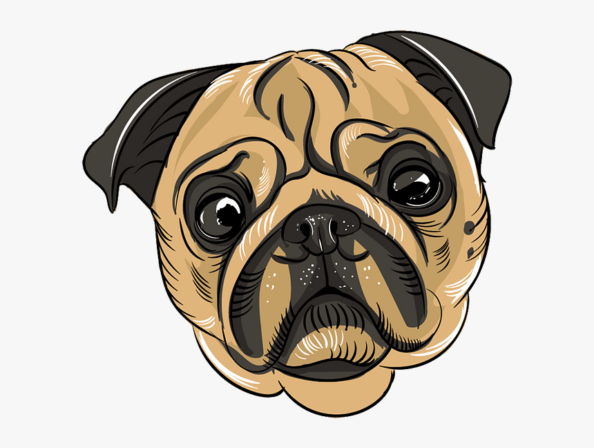 Pug Drawing, HD Png Download, Free Download