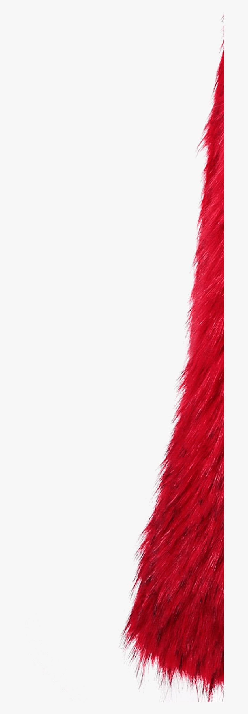 Transparent Feather Boa Png - Carmine, Png Download, Free Download